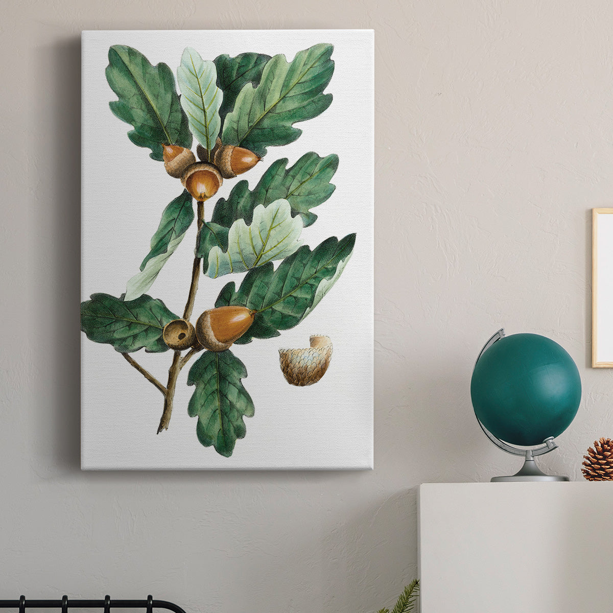 Douglas Oak - Canvas Art Print