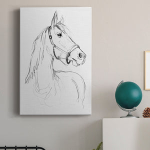 Bridle Portraits II - Canvas Art Print