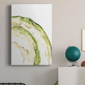 Lichen Halo VI - Canvas Art Print