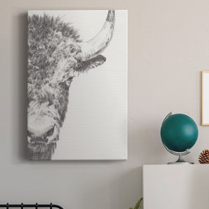 Graphite Bison Portrait II - Canvas Art Print