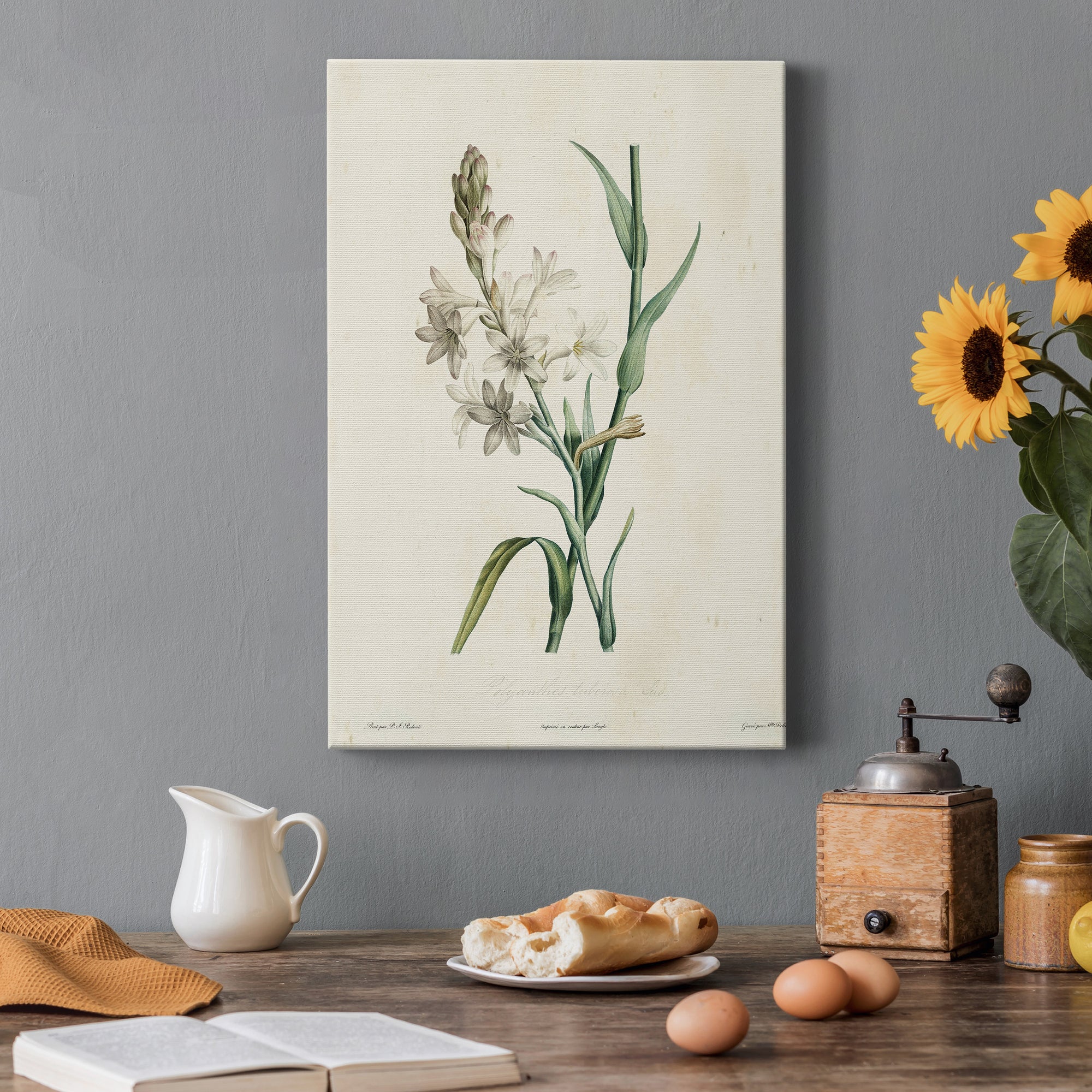 Traditional Botanical IV Premium Gallery Wrapped Canvas - Ready to Hang