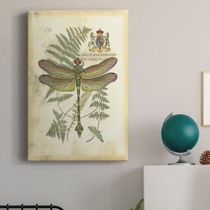 Regal Dragonfly III (PP)  - Canvas Art Print