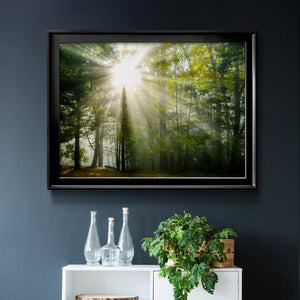 Light and Trees II Premium Classic Framed Canvas - Ready to Hang