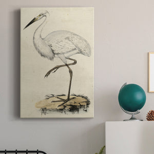 Embellished Antique Heron III (ASH) Premium Gallery Wrapped Canvas - Ready to Hang