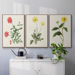 Flowers of the Seasons X - Framed Premium Gallery Wrapped Canvas L Frame 3 Piece Set - Ready to Hang