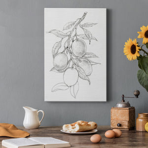 Fruit-Bearing Branch I - Canvas Art Print