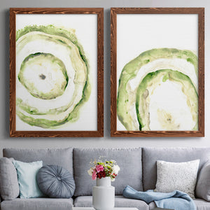 Lichen Halo III - Barnwood Framed Canvas Set