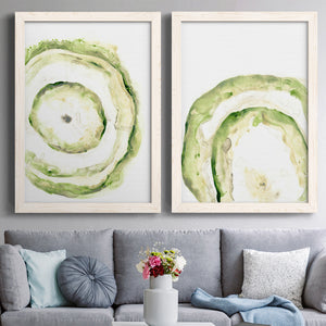 Lichen Halo III - Barnwood Framed Canvas Set