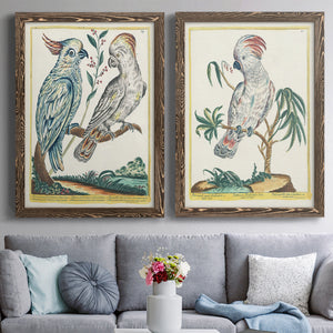 Pastel Birds I - Premium Framed Canvas 2 Piece Set - Ready to Hang