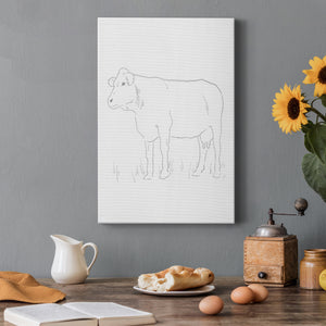 Limousin Cattle IV  Premium Gallery Wrapped Canvas - Ready to Hang