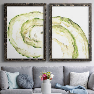 Lichen Halo V - Barnwood Framed Canvas Set