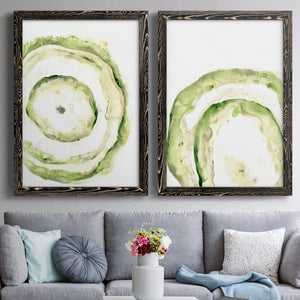 Lichen Halo III - Barnwood Framed Canvas Set