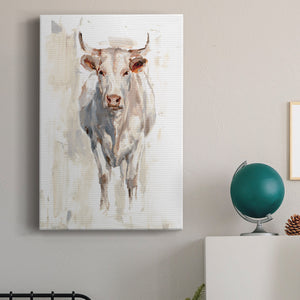 Sunlit Cows II - Canvas Art Print