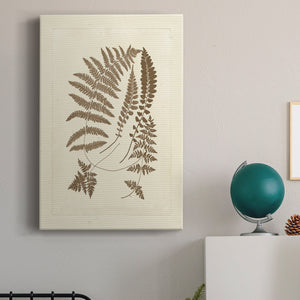 Sepia Ferns II Premium Gallery Wrapped Canvas - Ready to Hang