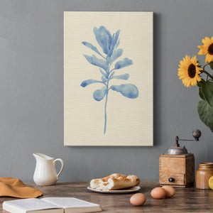 Verditer Fig IV - Canvas Art Print