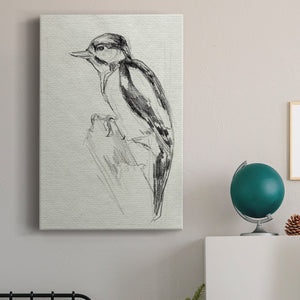 Woodpecker Sketch I Premium Gallery Wrapped Canvas - Ready to Hang