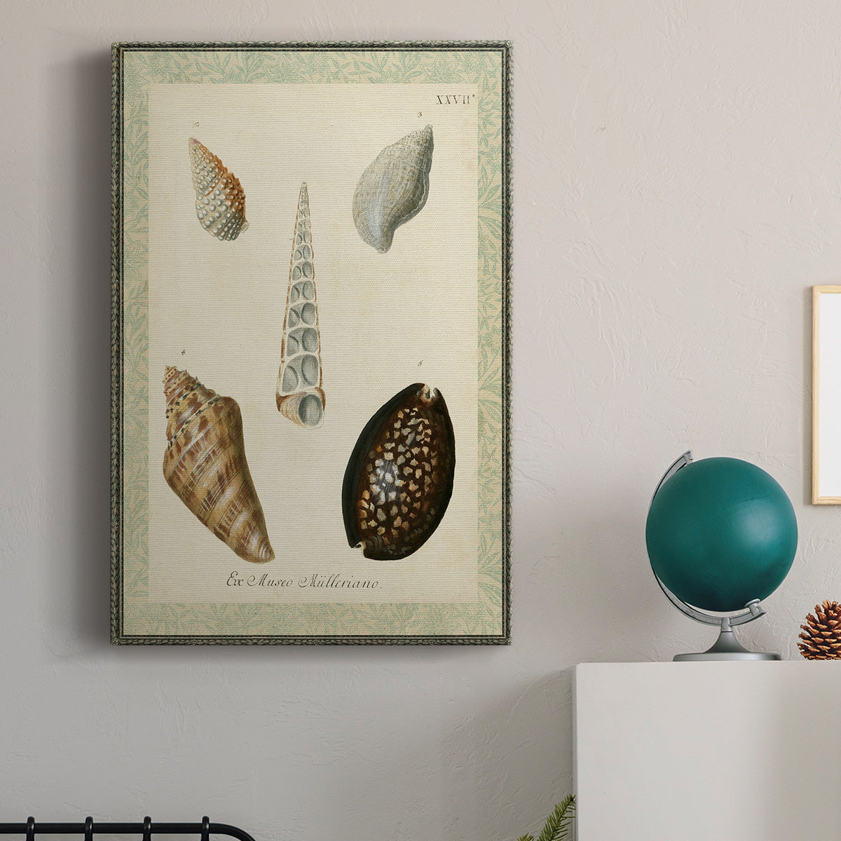 Bookplate Shells IX Premium Gallery Wrapped Canvas - Ready to Hang