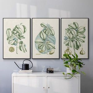 Buchoz Tropicals IX - Framed Premium Gallery Wrapped Canvas L Frame 3 Piece Set - Ready to Hang