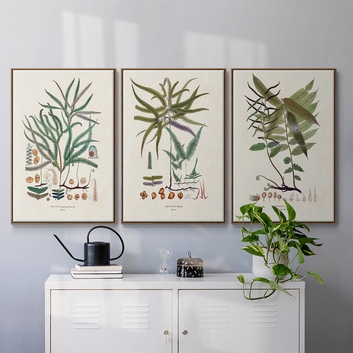 Botanical Society Ferns VI - Framed Premium Gallery Wrapped Canvas L Frame 3 Piece Set - Ready to Hang