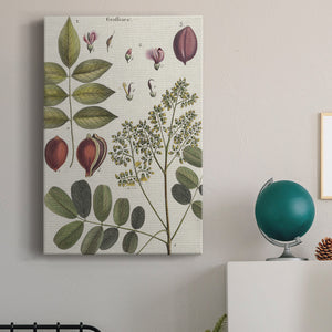 Exotic Botanique I - Canvas Art Print