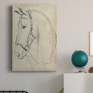 Horse in Bridle Sketch II - Canvas Art Print
