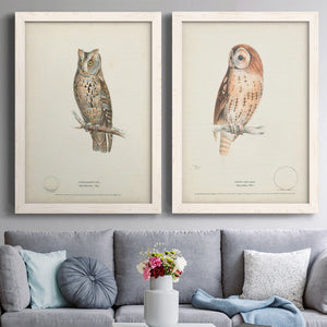 Scops- Eared Owl - Premium Framed Canvas 2 Piece Set - Ready to Hang