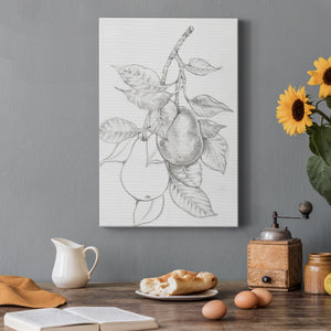 Fruit-Bearing Branch III - Canvas Art Print
