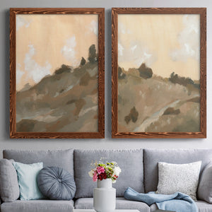 Hillside Walking Path III - Barnwood Framed Canvas Set