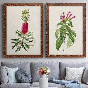 Pretty Pink Botanicals VII - Premium Framed Canvas 2 Piece Set - Ready to Hang