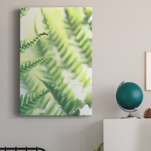 UA Fern Glow VI Premium Gallery Wrapped Canvas - Ready to Hang