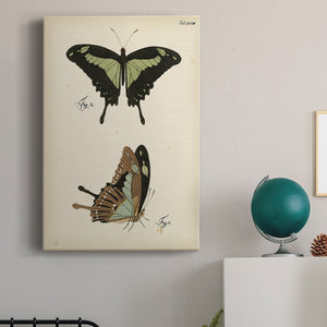Butterfly Profile III - Canvas Art Print