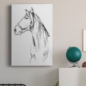 Bridle Portraits I - Canvas Art Print