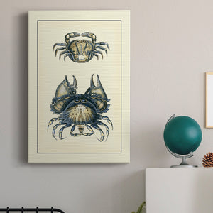 Antique Blue Crabs I Premium Gallery Wrapped Canvas - Ready to Hang