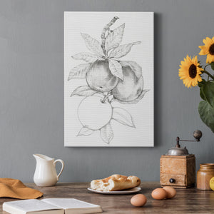 Fruit-Bearing Branch II - Canvas Art Print