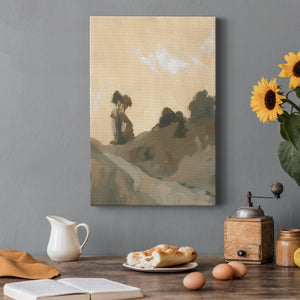 Hillside Walking Path VI - Canvas Art Print