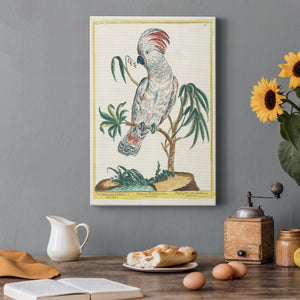 Pastel Birds II - Canvas Art Print