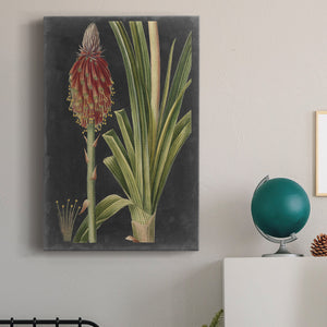 Dramatic Tropicals IV Premium Gallery Wrapped Canvas - Ready to Hang