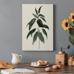 Soft Greenery II - Canvas Art Print