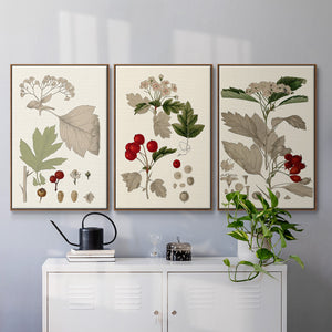 Leaves & Berries I - Framed Premium Gallery Wrapped Canvas L Frame 3 Piece Set - Ready to Hang