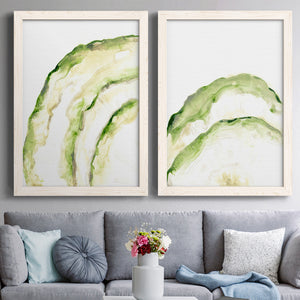Lichen Halo I - Barnwood Framed Canvas Set