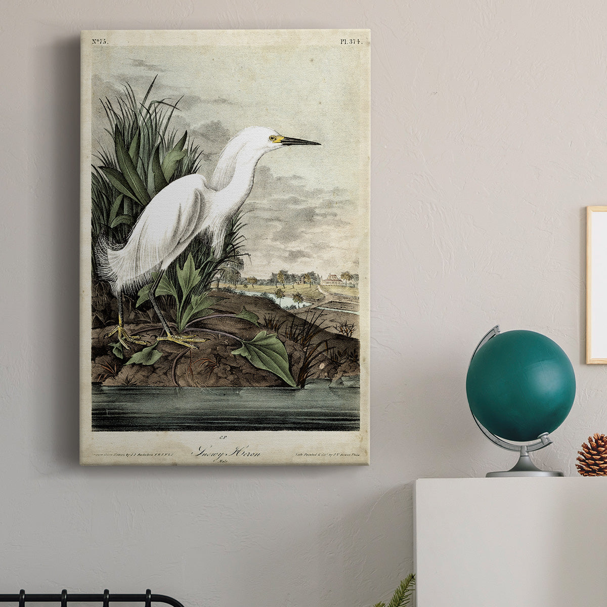 Snowy Heron Premium Gallery Wrapped Canvas - Ready to Hang