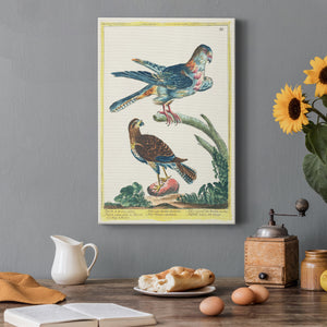 Pastel Birds III - Canvas Art Print