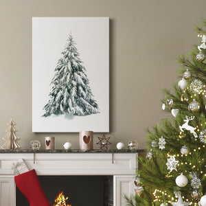 Blue Spruce I - Gallery Wrapped Canvas
