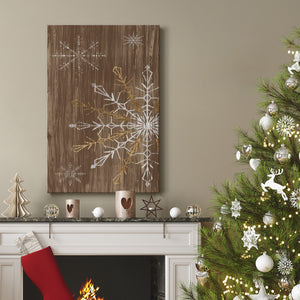 Barnwood Wonderland Collection B - Gallery Wrapped Canvas