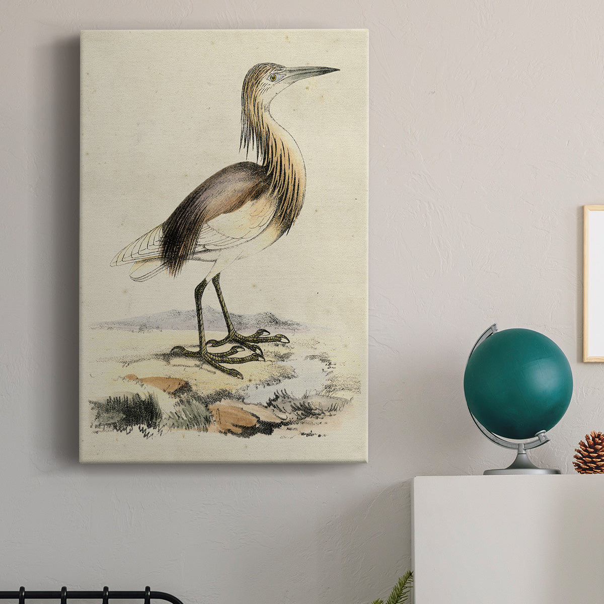 Antique Heron I Premium Gallery Wrapped Canvas - Ready to Hang