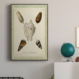 Bookplate Shells IV Premium Gallery Wrapped Canvas - Ready to Hang
