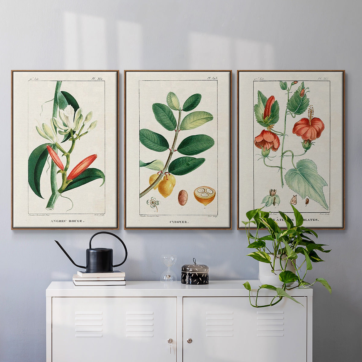 Turpin Tropical Botanicals IV - Framed Premium Gallery Wrapped Canvas L Frame 3 Piece Set - Ready to Hang