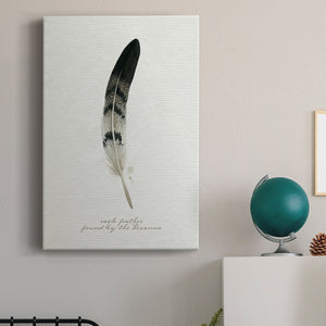 Found Feather I - Canvas Art Print