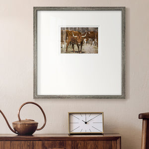 Longhorns- Premium Framed Print Double Matboard