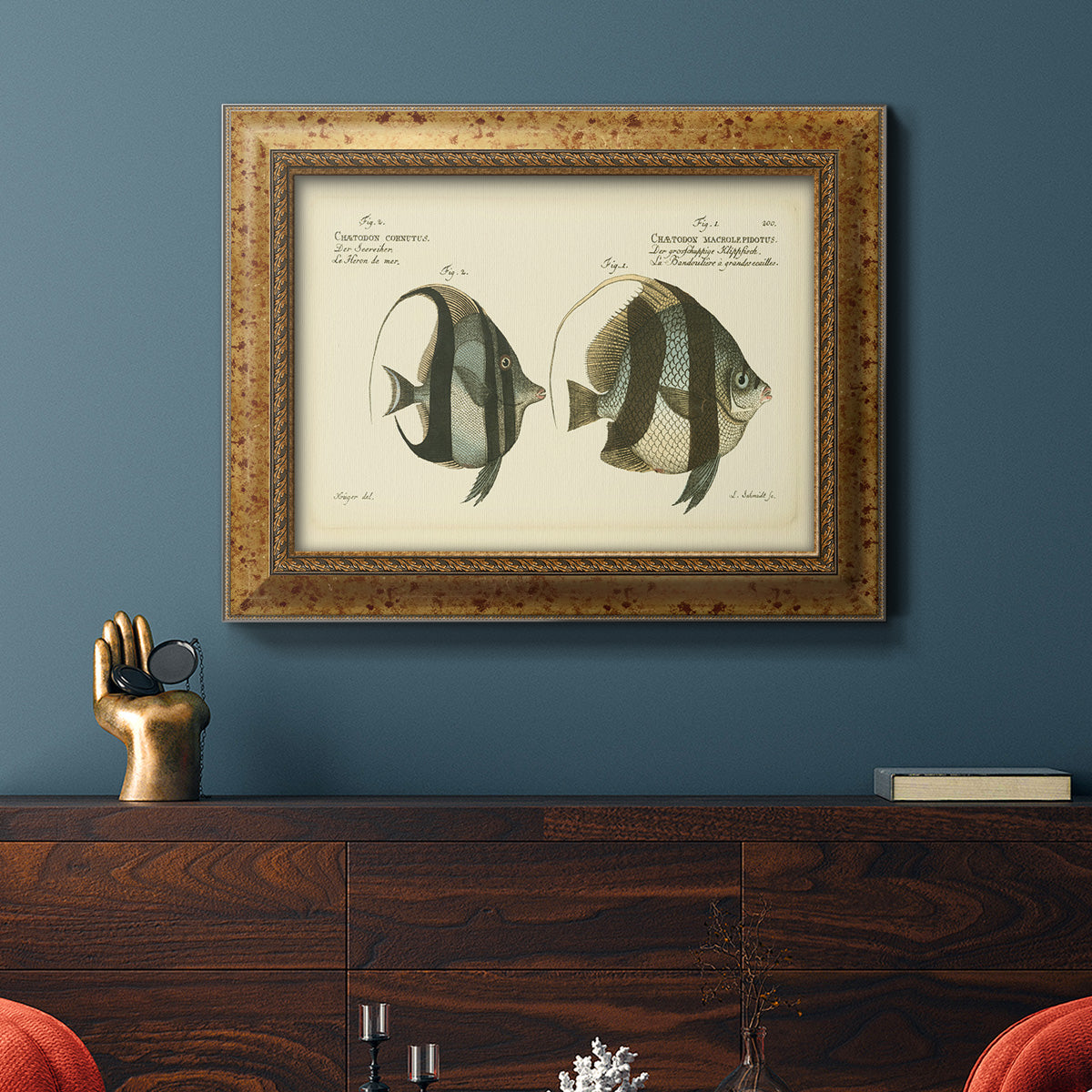Bloch Antique Fish I Premium Framed Canvas- Ready to Hang